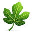 Esma Labs leaf